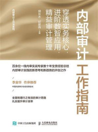 《内部审计工作指南：穿透实务核心，进阶数智应用，精益审计管理》-郭长水