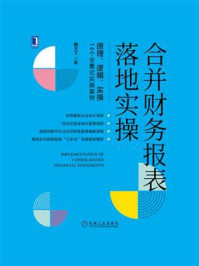 《合并财务报表落地实操》-藺龙文