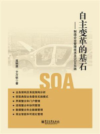 《自主变革的基石——制造企业管理技术及SOA实践》-连明源