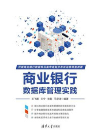 《商业银行数据库管理实践》-王飞鹏