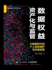 《数据权益资产化与监管：大数据时代的个人信息保护与价值实现》-朱晓武