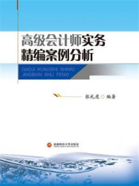 《高级会计师实务精编案例分析》-张礼虎