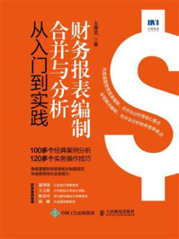 《财务报表编制、合并与分析从入门到实践》-王鹰武