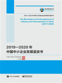 《2019—2020年中国中小企业发展蓝皮书》-中国电子信息产业发展研究院