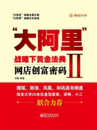 《“大阿里”战略下黄金法典——网店创富密码Ⅱ》-胡敏