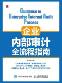 《企业内部审计全流程指南》-杨文梅