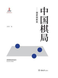 《中国棋局：国家级新区》-王佳宁