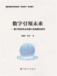 《数字引领未来：数字经济重点问题与发展路径研究》-胡拥军