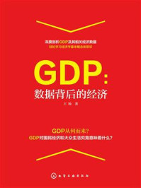 《GDP：数据背后的经济》-王旸