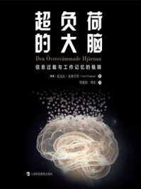 《超负荷的大脑：信息过载与工作记忆的极限》-托克尔·克林贝里
