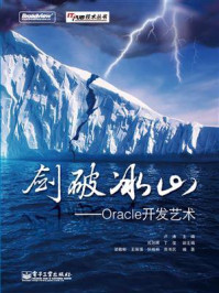 《剑破冰山——Oracle开发艺术》-卢涛