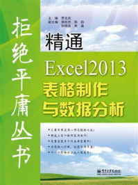 《精通Excel 2013表格制作与数据分析》-贾文庆