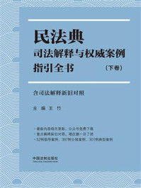 《民法典司法解释与权威案例指引全书：含司法解释新旧对照（下卷）》-王竹