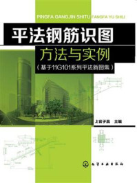 《平法钢筋识图方法与实例(基于11G11系列平法新图集)》-上官子昌