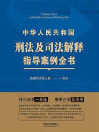 《中华人民共和国刑法及司法解释指导案例全书（第3版）》-中国法制出版社