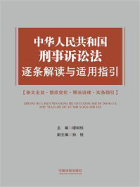 《中华人民共和国刑事诉讼法逐条解读与适用指引》-缪树权