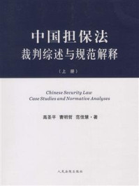 《中国担保法裁判综述与规范解释（上）》-高圣平