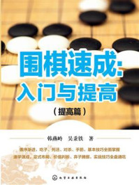 《围棋速成：入门与提高.提高篇》-韩燕岭