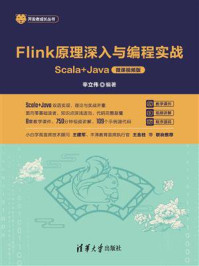 《Flink原理深入与编程实战：Scala+Java（微课视频版）》-辛立伟