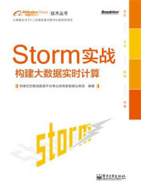 《Storm实战：构建大数据实时计算》-阿里巴巴集团数据平台事业部商家数据业务部