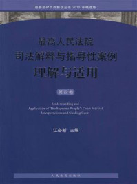 《最高人民法院司法解释与指导性案例理解与适用（第4卷）》-江必新