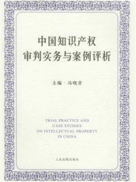 《中国知识产权审判实务与案例评析》-冯哓青