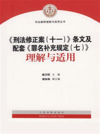 《刑法修正案（十一）》条文及配套《罪名补充规定（七）理解与适用》-杨万明