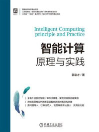 《智能计算：原理与实践》-郭业才