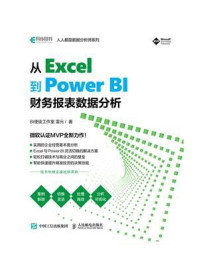 《从Excel到Power BI：财务报表数据分析》-雷元