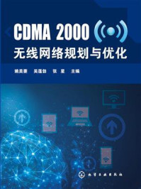 《CDMA2无线网络规划与优化》-姚美菱