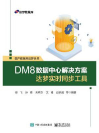 《DM8数据中心解决方案：达梦实时同步工具》-徐飞