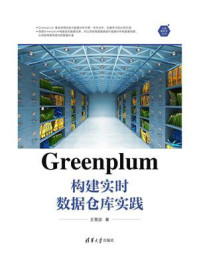 《Greenplum构建实时数据仓库实践》-王雪迎