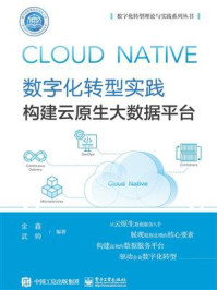 《数字化转型实践：构建云原生大数据平台》-金鑫
