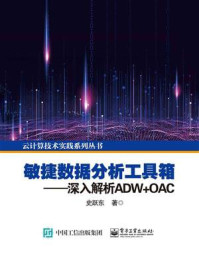 《敏捷数据分析工具箱 ：深入解析ADW+OAC》-史跃东