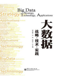 《大数据——战略·技术·实践》-周宝曜