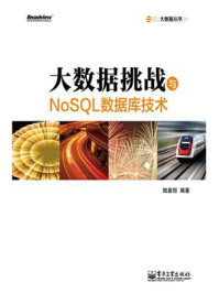 《大数据挑战与NoSQL数据库技术》-陆嘉恒