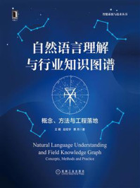 《自然语言理解与行业知识图谱：概念、方法与工程落地》-王楠