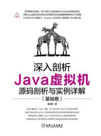 《深入剖析Java虚拟机：源码剖析与实例详解（基础卷）》-马智