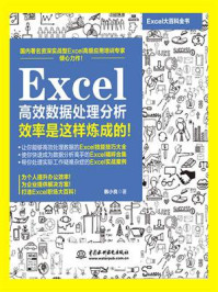 《Excel高效数据处理分析：效率是这样炼成的！》-韩小良