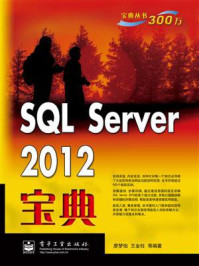 《SQL Server 2012宝典》-廖梦怡