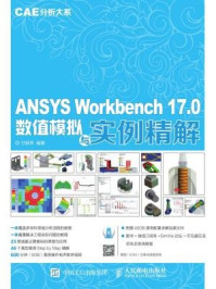 《ANSYS Workbench 17.0数值模拟与实例精解 CAE分析大系》-付稣昇