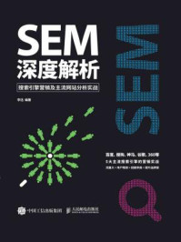 《SEM深度解析 搜索引擎营销及主流网站分析实战》-李迅