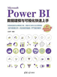 《Microsoft Power BI数据建模与可视化快速上手》-王国平