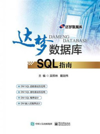 《达梦数据库SQL指南》-吴照林