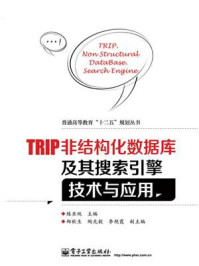 《TRIP非结构化数据库及其搜索引擎技术与应用》-练亚纯
