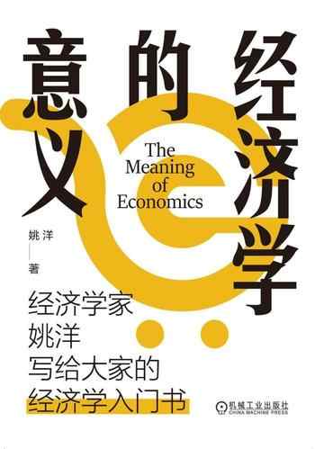 《经济学的意义》-姚洋