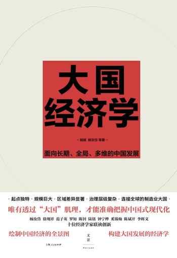 《大国经济学：面向长期、全局、多维的中国发展》-陆铭领衔