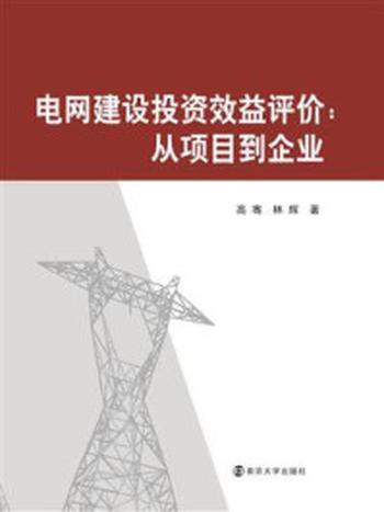 《电网建设投资效益评价：从项目到企业》-高骞