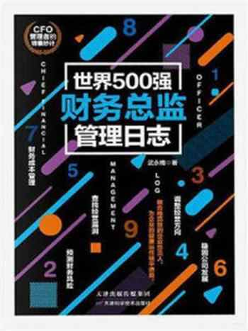 《世界500强财务总监管理日志》-武永梅