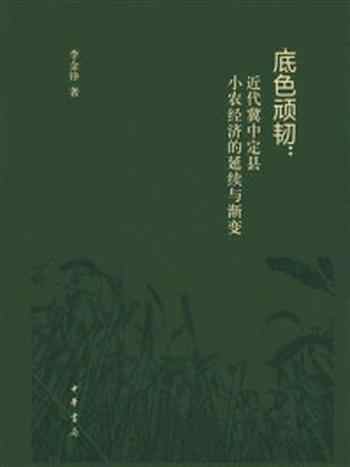 《底色顽韧：近代冀中定县小农经济的延续与渐变（精）》-李金铮